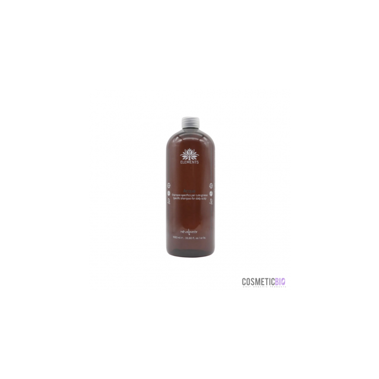 Shampoo Aria Elements Naturalmente. Dandruff / Purifying. Mint Essential Oil. 1000ml