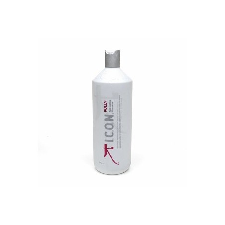 ICON FULLY Shampooing anti-âge 1000ml